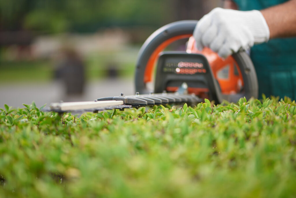 Property Maintenance Sunderland